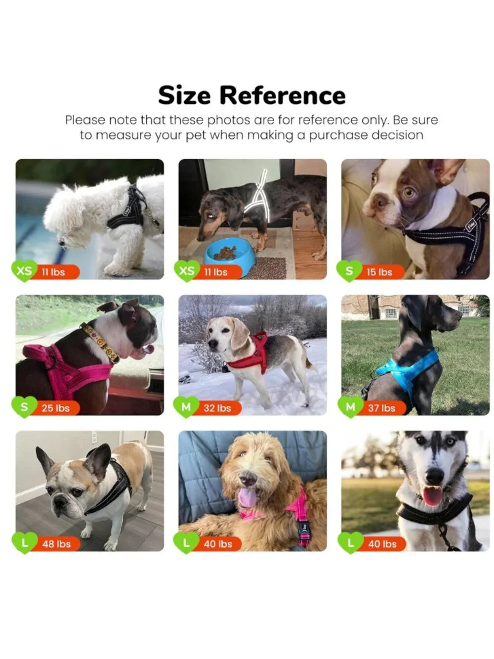 Didog size medium